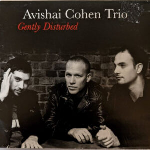 Avishai Cohen Trio: Gently Disturbed