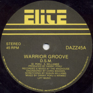 D.S.M.*: Warrior Groove