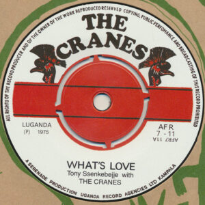 Tony Ssenkebejje With The Cranes: What's Love