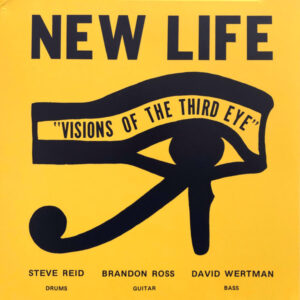 New Life Trio: Visions Of The Third Eye