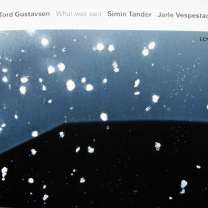 Tord Gustavsen: What Was Said