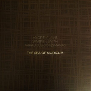 Andrew Lamb (2), Warren Smith, Arkadijus Gotesmanas*: The Sea Of Modicum