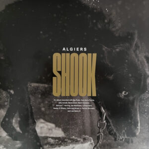 Algiers (2): Shook