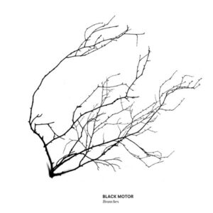 Black Motor: Branches