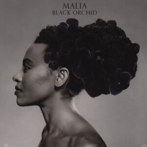 Malia: Black Orchid