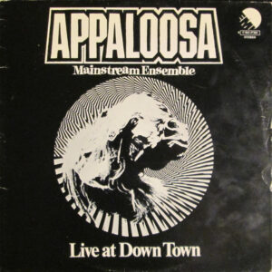 Appaloosa Mainstream Ensemble: Live At Down Town