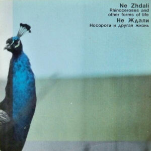 Ne Zhdali: Rhinoceroses And Other Forms Of Life