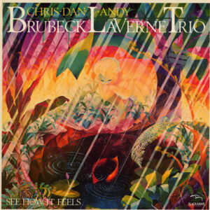 Brubeck LaVerne Trio: See How It Feels