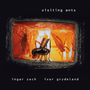 Ingar Zach & Ivar Grydeland: Visiting Ants