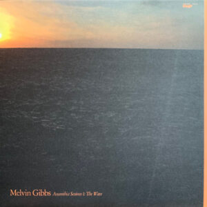 Melvin Gibbs: Anamibia Sessions 1: The Wave