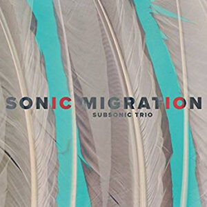 Subsonic Trio: Sonic Migration