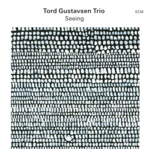 Tord Gustavsen Trio: Seeing