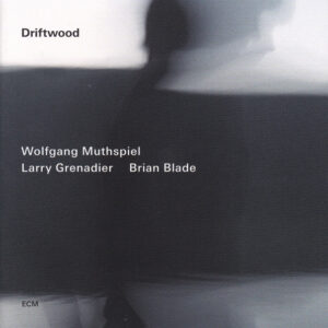 Wolfgang Muthspiel / Larry Grenadier / Brian Blade: Driftwood