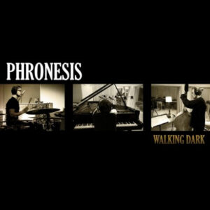 Phronesis: Walking Dark