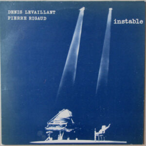 Denis Levaillant / Pierre Rigaud: Instable