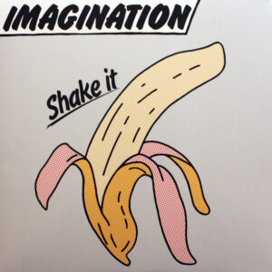 Imagination (2): Shake It