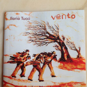 Ilaria Tucci, The Blue Ice Orchestra: Vento