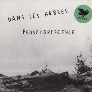 Dans Les Arbres: Phosphorescence