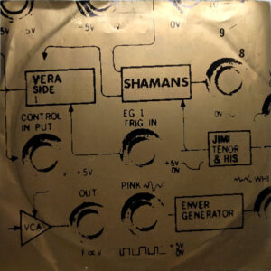 Jimi Tenor And His Shamans: Vera / Diana
