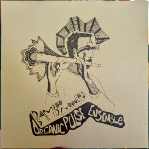 Organic Pulse Ensemble: Bamboo Noodles