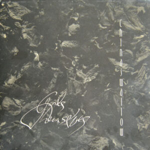 China Swallow: Gods Themselves