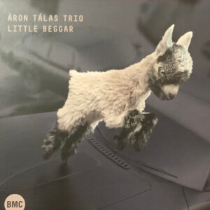 Áron Tálas Trio: Little Beggar