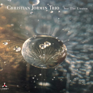 Christian Jormin Trio: See The Unseen