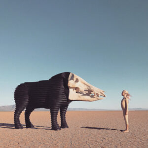 Man Man: Dream Hunting In The Valley Of The In-Between