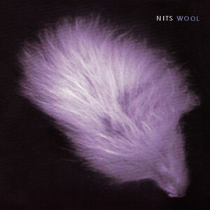 Nits*: Wool