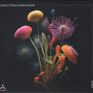 Johan Tobias Bergstrøm: Nova