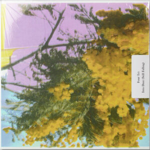 Four Tet: Into Dust (Still Falling)