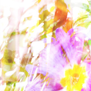 Semmosta: The Zealots