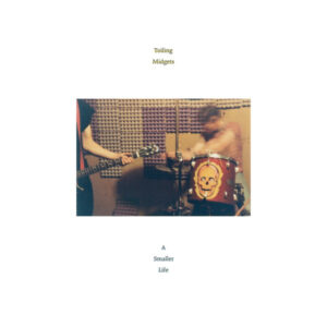 Toiling Midgets: A Smaller Life