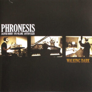 Phronesis: Walking Dark