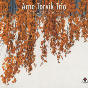 Arne Torvik Trio: Northwestern Songs
