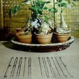 Petri Kautto: Earth Turtle