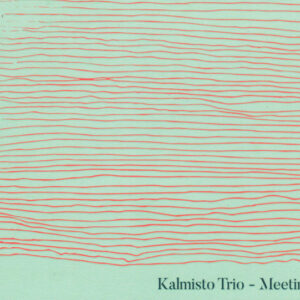 Kalmisto Trio: Meeting