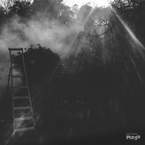 Reinhold Friedl, Eryck Abecassis: Animal Électrique