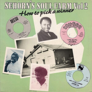 Various: How To Pick A Winner (Sehorn's Soul Farm Vol. 2)